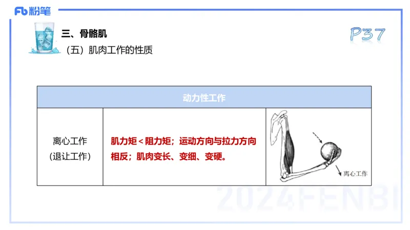 25上理论精讲&mdash;运动解剖学3-陈晶晶_4-教培资料-26年最新资料-同步更新_初中高中教资_03科三专项（进去保存报考的学科即可）_初中_初中体育-通关资料包_3.课程FB系统班课程