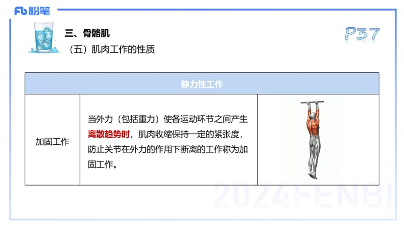 25上理论精讲&mdash;运动解剖学3-陈晶晶_4-教培资料-26年最新资料-同步更新_初中高中教资_03科三专项（进去保存报考的学科即可）_初中_初中体育-通关资料包_3.课程FB系统班课程