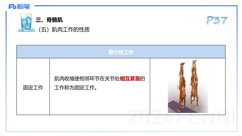 25上理论精讲&mdash;运动解剖学3-陈晶晶_4-教培资料-26年最新资料-同步更新_初中高中教资_03科三专项（进去保存报考的学科即可）_初中_初中体育-通关资料包_3.课程FB系统班课程