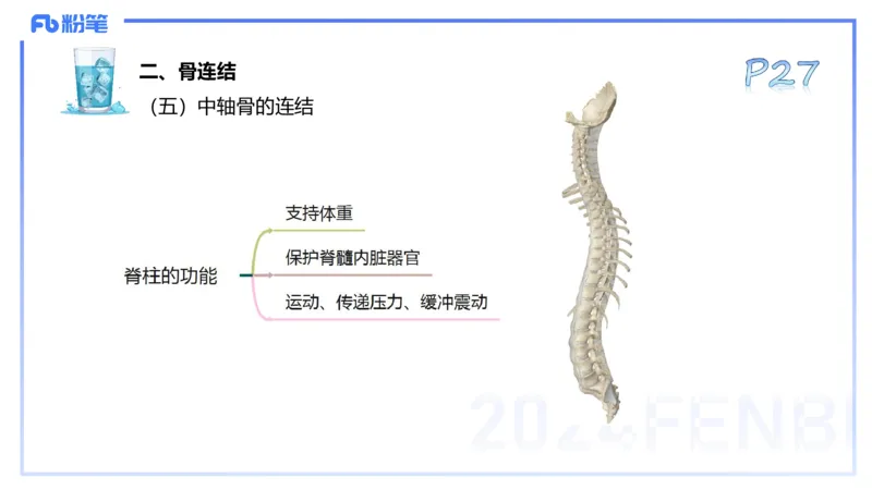 25上理论精讲&mdash;运动解剖学3-陈晶晶_4-教培资料-26年最新资料-同步更新_初中高中教资_03科三专项（进去保存报考的学科即可）_初中_初中体育-通关资料包_3.课程FB系统班课程