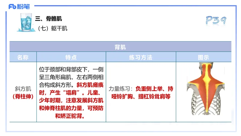 25上理论精讲&mdash;运动解剖学3-陈晶晶_4-教培资料-26年最新资料-同步更新_初中高中教资_03科三专项（进去保存报考的学科即可）_初中_初中体育-通关资料包_3.课程FB系统班课程
