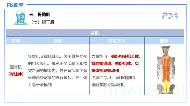 25上理论精讲&mdash;运动解剖学3-陈晶晶_4-教培资料-26年最新资料-同步更新_初中高中教资_03科三专项（进去保存报考的学科即可）_初中_初中体育-通关资料包_3.课程FB系统班课程