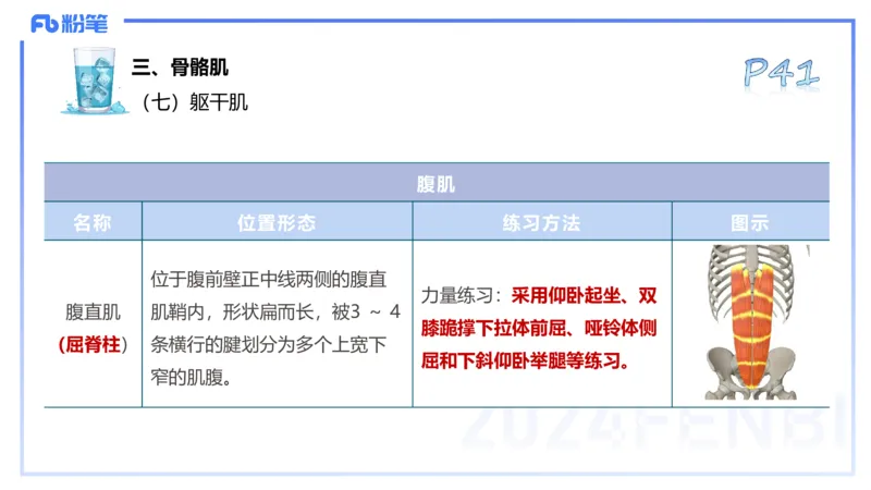 25上理论精讲&mdash;运动解剖学3-陈晶晶_4-教培资料-26年最新资料-同步更新_初中高中教资_03科三专项（进去保存报考的学科即可）_初中_初中体育-通关资料包_3.课程FB系统班课程