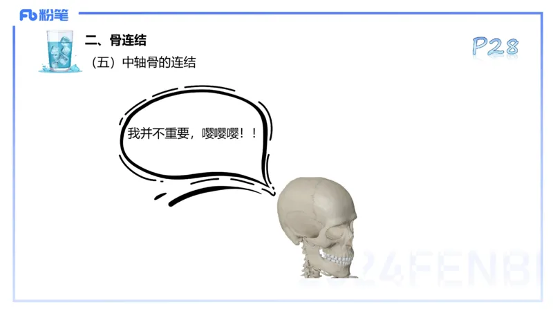 25上理论精讲&mdash;运动解剖学3-陈晶晶_4-教培资料-26年最新资料-同步更新_初中高中教资_03科三专项（进去保存报考的学科即可）_初中_初中体育-通关资料包_3.课程FB系统班课程