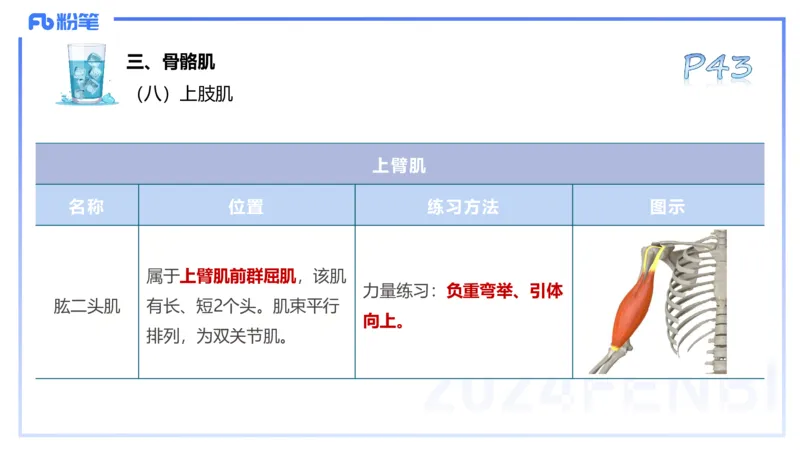 25上理论精讲&mdash;运动解剖学3-陈晶晶_4-教培资料-26年最新资料-同步更新_初中高中教资_03科三专项（进去保存报考的学科即可）_初中_初中体育-通关资料包_3.课程FB系统班课程