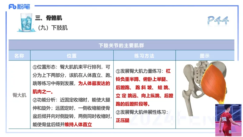 25上理论精讲&mdash;运动解剖学3-陈晶晶_4-教培资料-26年最新资料-同步更新_初中高中教资_03科三专项（进去保存报考的学科即可）_初中_初中体育-通关资料包_3.课程FB系统班课程