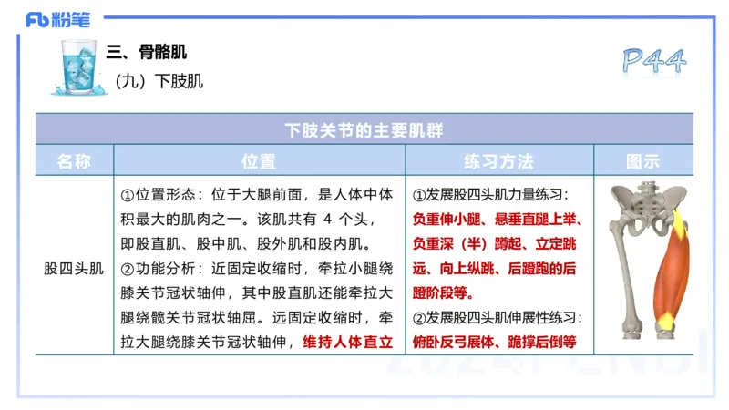 25上理论精讲&mdash;运动解剖学3-陈晶晶_4-教培资料-26年最新资料-同步更新_初中高中教资_03科三专项（进去保存报考的学科即可）_初中_初中体育-通关资料包_3.课程FB系统班课程