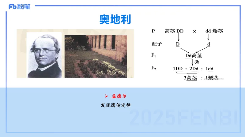 53.世界科技成就（二）_4-教培资料-26年最新资料-同步更新_初中高中教资_2025下中学教资笔试_012025下系统课-综合素质（科一网课完结）_补充课：文化素养（延用25上）_讲义