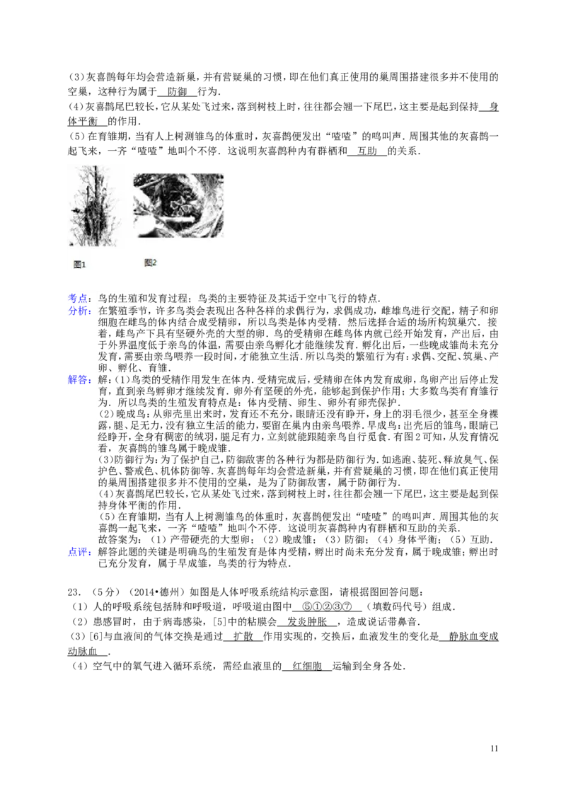 2014年德州市中考生物真题试题(解析版)_中考真题_8.生物中考真题2015-2024年_地区卷_山东省_山东德州生物11-20