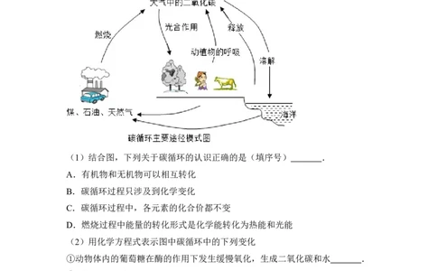 2016年山东省威海市中考化学试卷（含解析版）_中考真题_5.化学中考真题2015-2024年_地区卷_山东省_山东威海化学12-21