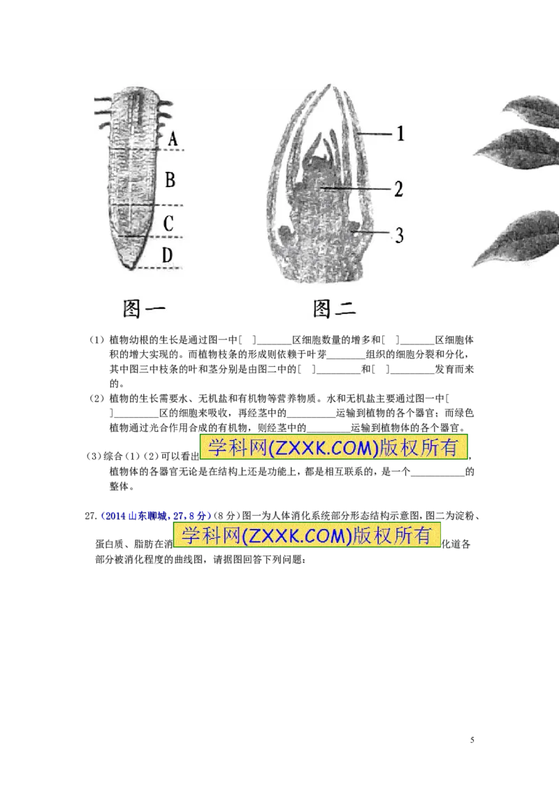 2014年聊城市中考生物试卷及答案_中考真题_8.生物中考真题2015-2024年_地区卷_山东省_山东聊城生物10-22