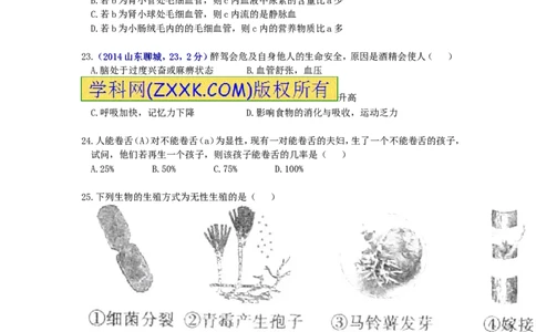 2014年聊城市中考生物试卷及答案_中考真题_8.生物中考真题2015-2024年_地区卷_山东省_山东聊城生物10-22