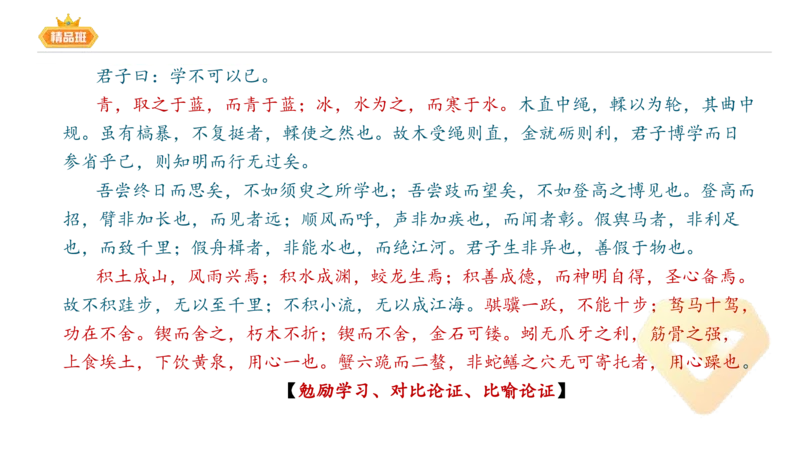 24下-教资系统班-中外文学1-毕小象_4-教培资料-26年最新资料-同步更新_初中高中教资_03科三专项（进去保存报考的学科即可）_01科目三FB网课、三色速记手册、知识点导图等推荐