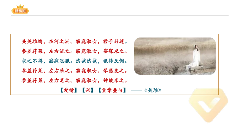 24下-教资系统班-中外文学1-毕小象_4-教培资料-26年最新资料-同步更新_初中高中教资_03科三专项（进去保存报考的学科即可）_01科目三FB网课、三色速记手册、知识点导图等推荐