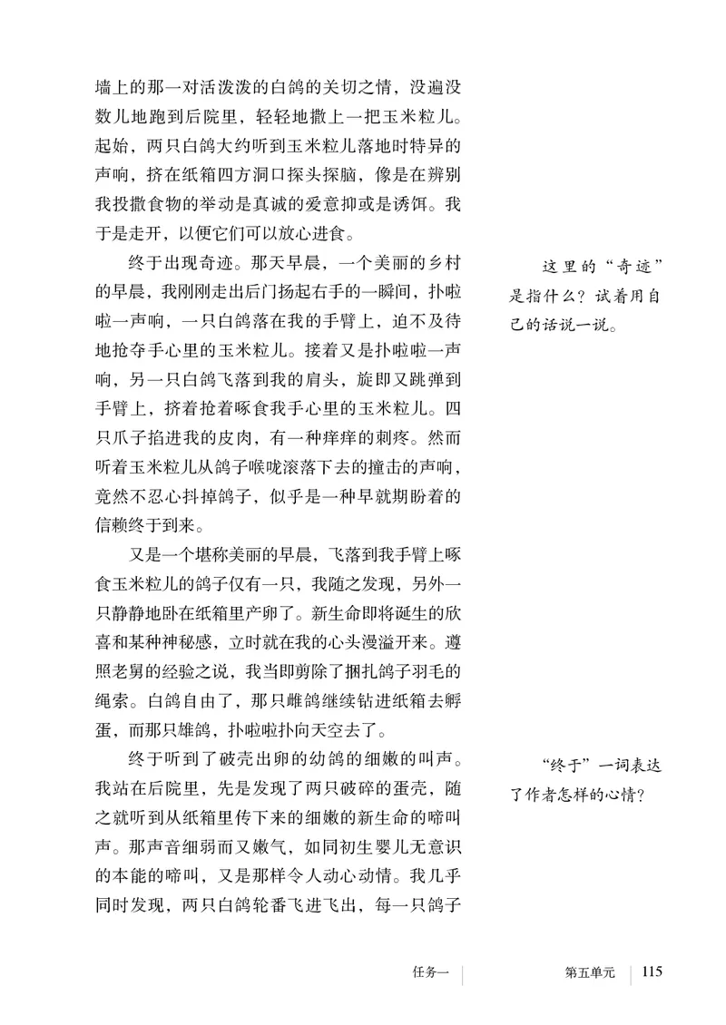 人教版7年级语文上册高清教材_4-教培资料-26年最新资料-同步更新_初中高中教资_03科三专项（进去保存报考的学科即可）_02科三专项（笔记真题思维导图教学设计版本二）