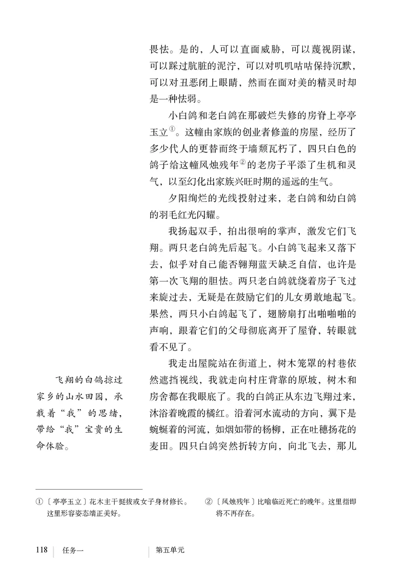 人教版7年级语文上册高清教材_4-教培资料-26年最新资料-同步更新_初中高中教资_03科三专项（进去保存报考的学科即可）_02科三专项（笔记真题思维导图教学设计版本二）
