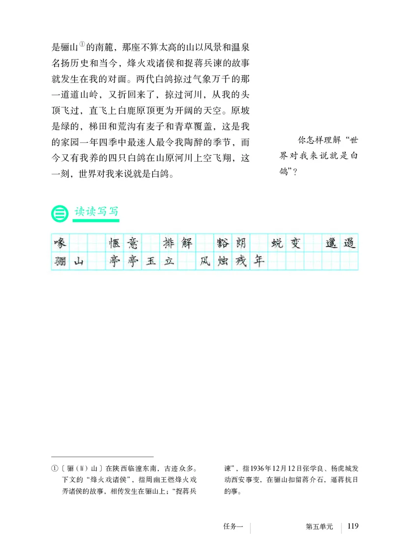 人教版7年级语文上册高清教材_4-教培资料-26年最新资料-同步更新_初中高中教资_03科三专项（进去保存报考的学科即可）_02科三专项（笔记真题思维导图教学设计版本二）