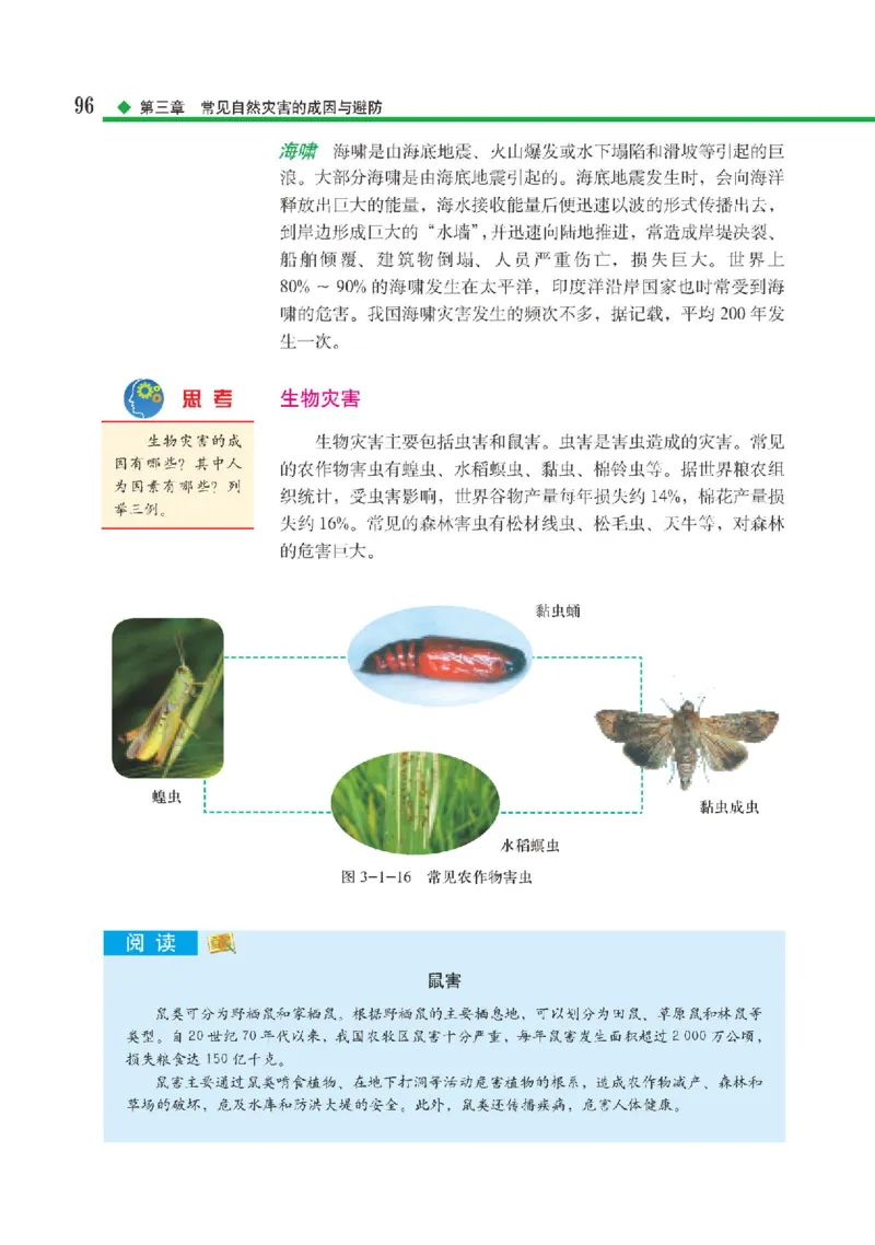 中图版地理必修第一册高清教材_4-教培资料-26年最新资料-同步更新_初中高中教资_03科三专项（进去保存报考的学科即可）_02科三专项（笔记真题思维导图教学设计版本二）