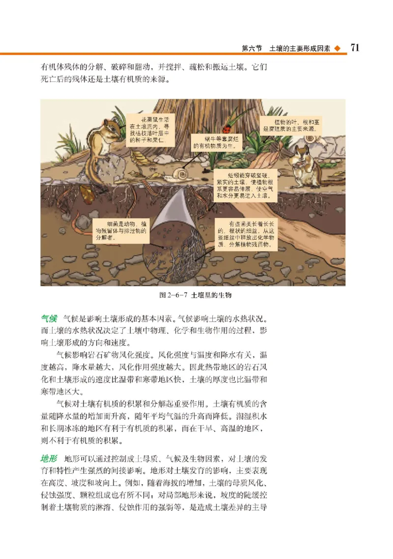 中图版地理必修第一册高清教材_4-教培资料-26年最新资料-同步更新_初中高中教资_03科三专项（进去保存报考的学科即可）_02科三专项（笔记真题思维导图教学设计版本二）