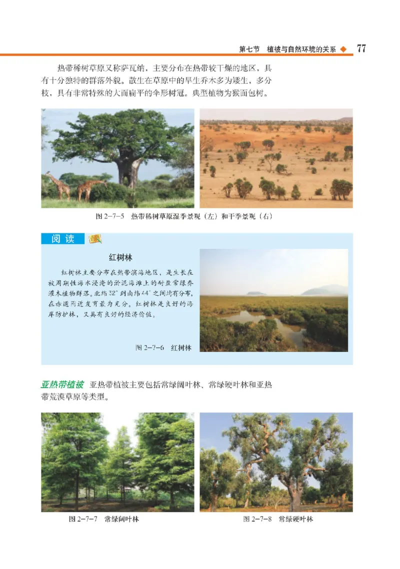 中图版地理必修第一册高清教材_4-教培资料-26年最新资料-同步更新_初中高中教资_03科三专项（进去保存报考的学科即可）_02科三专项（笔记真题思维导图教学设计版本二）