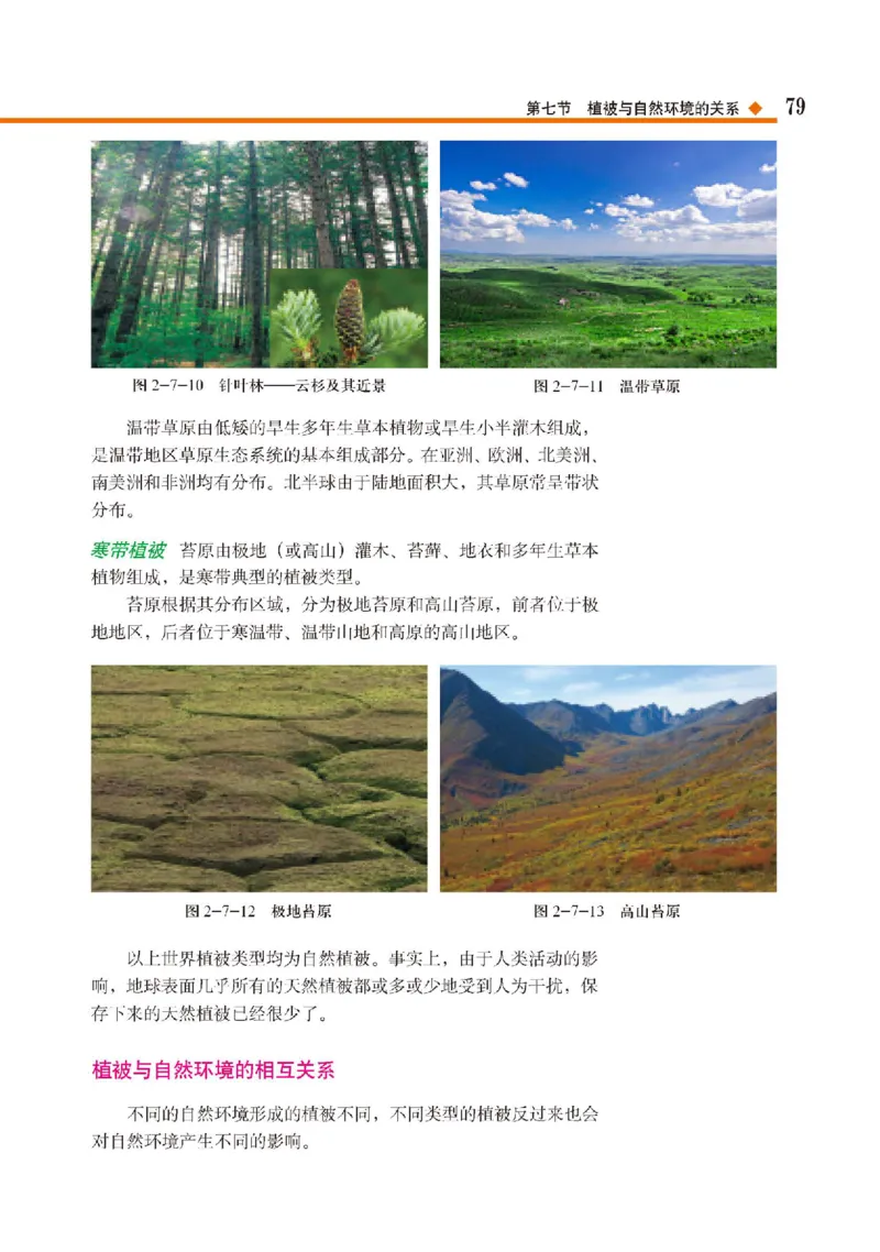 中图版地理必修第一册高清教材_4-教培资料-26年最新资料-同步更新_初中高中教资_03科三专项（进去保存报考的学科即可）_02科三专项（笔记真题思维导图教学设计版本二）