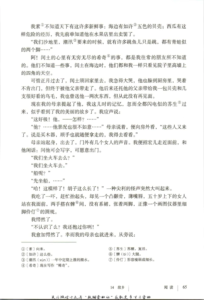 九年级上册语文五四制电子课本_4-教培资料-26年最新资料-同步更新_初中高中教资_03科三专项（进去保存报考的学科即可）_02科三专项（笔记真题思维导图教学设计版本二）