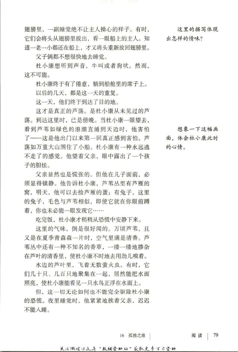 九年级上册语文五四制电子课本_4-教培资料-26年最新资料-同步更新_初中高中教资_03科三专项（进去保存报考的学科即可）_02科三专项（笔记真题思维导图教学设计版本二）