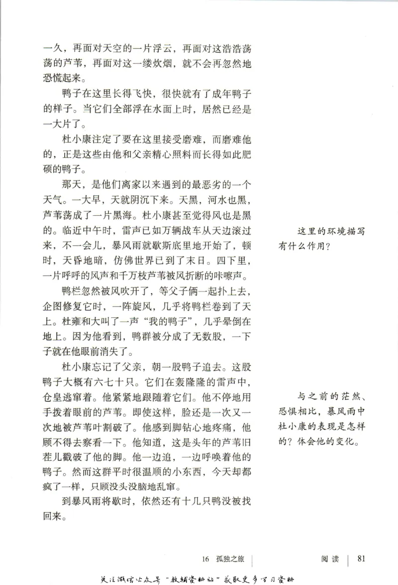 九年级上册语文五四制电子课本_4-教培资料-26年最新资料-同步更新_初中高中教资_03科三专项（进去保存报考的学科即可）_02科三专项（笔记真题思维导图教学设计版本二）