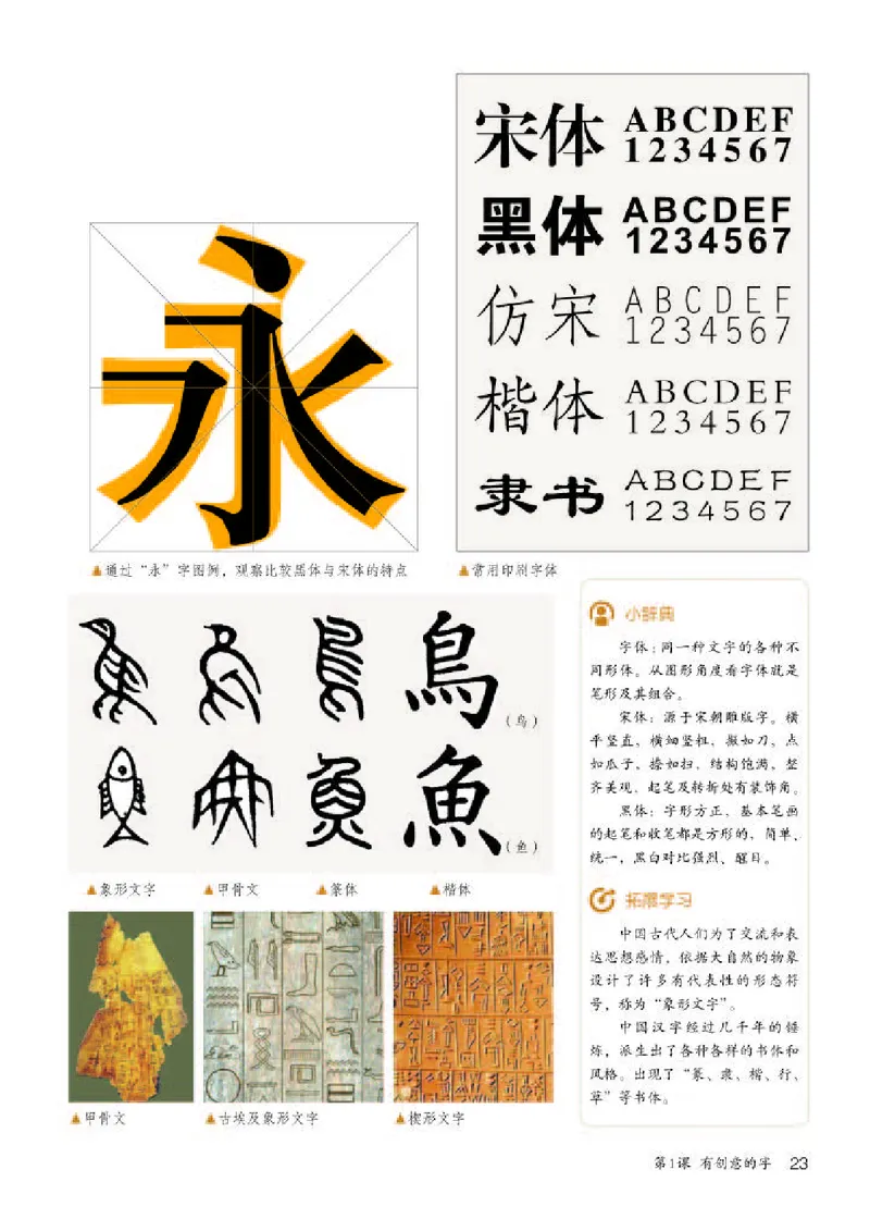 人教版7年级美术上册高清教材_4-教培资料-26年最新资料-同步更新_初中高中教资_03科三专项（进去保存报考的学科即可）_02科三专项（笔记真题思维导图教学设计版本二）