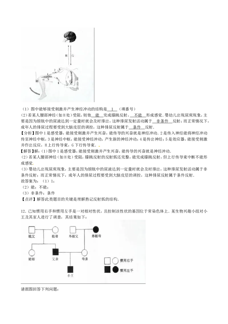 2016年四川省遂宁市中考生物真题及答案_中考真题_8.生物中考真题2015-2024年_地区卷_四川省_四川遂宁生物16,19-22