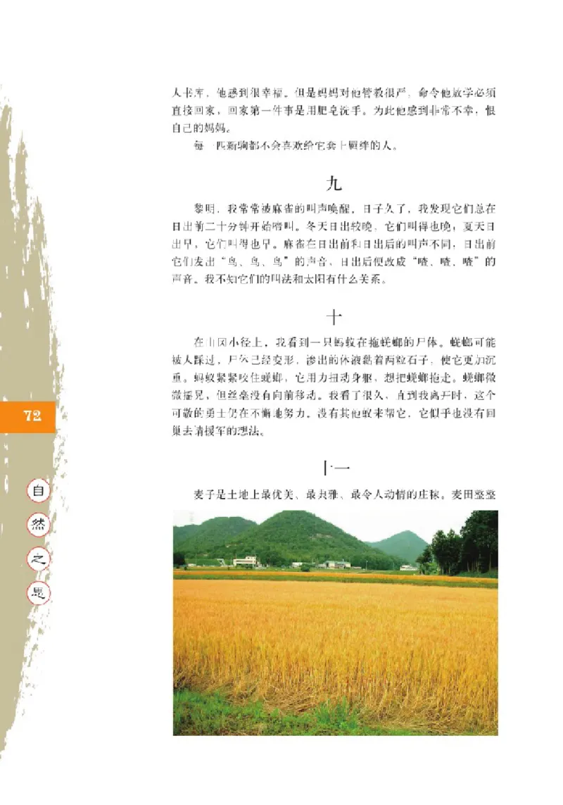 2北师大版高一必修一_4-教培资料-26年最新资料-同步更新_初中高中教资_03科三专项（进去保存报考的学科即可）_02科三专项（笔记真题思维导图教学设计版本二）