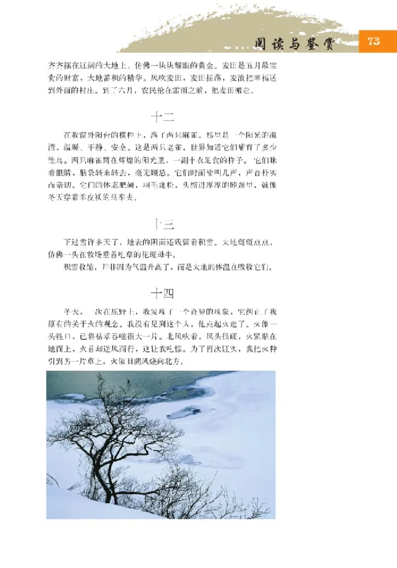 2北师大版高一必修一_4-教培资料-26年最新资料-同步更新_初中高中教资_03科三专项（进去保存报考的学科即可）_02科三专项（笔记真题思维导图教学设计版本二）
