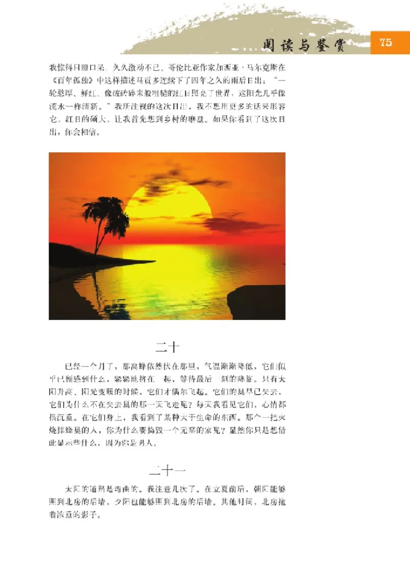 2北师大版高一必修一_4-教培资料-26年最新资料-同步更新_初中高中教资_03科三专项（进去保存报考的学科即可）_02科三专项（笔记真题思维导图教学设计版本二）