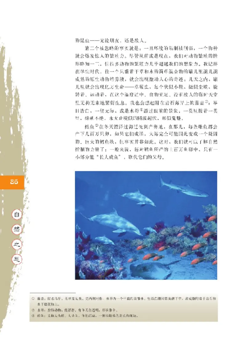 2北师大版高一必修一_4-教培资料-26年最新资料-同步更新_初中高中教资_03科三专项（进去保存报考的学科即可）_02科三专项（笔记真题思维导图教学设计版本二）