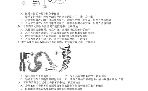 2017年山东青岛初中生物学业考试题及答案_中考真题_8.生物中考真题2015-2024年_地区卷_青岛生物