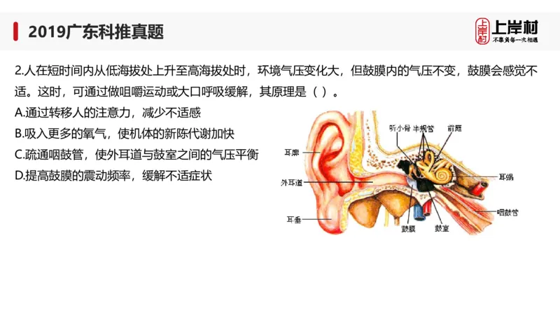 2019广东科推真题_2026考公资料_（28）上岸村合集（司马、章晓铭、王永恒、天晓、忠政、丁旭等）_2025合集_92024上岸村广东省考科学推理套卷班_课件_广东科学推理真题2019-2023