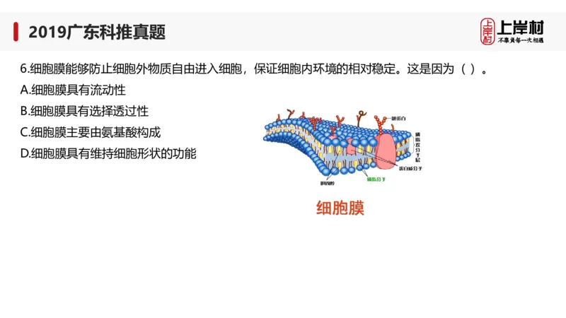 2019广东科推真题_2026考公资料_（28）上岸村合集（司马、章晓铭、王永恒、天晓、忠政、丁旭等）_2025合集_92024上岸村广东省考科学推理套卷班_课件_广东科学推理真题2019-2023