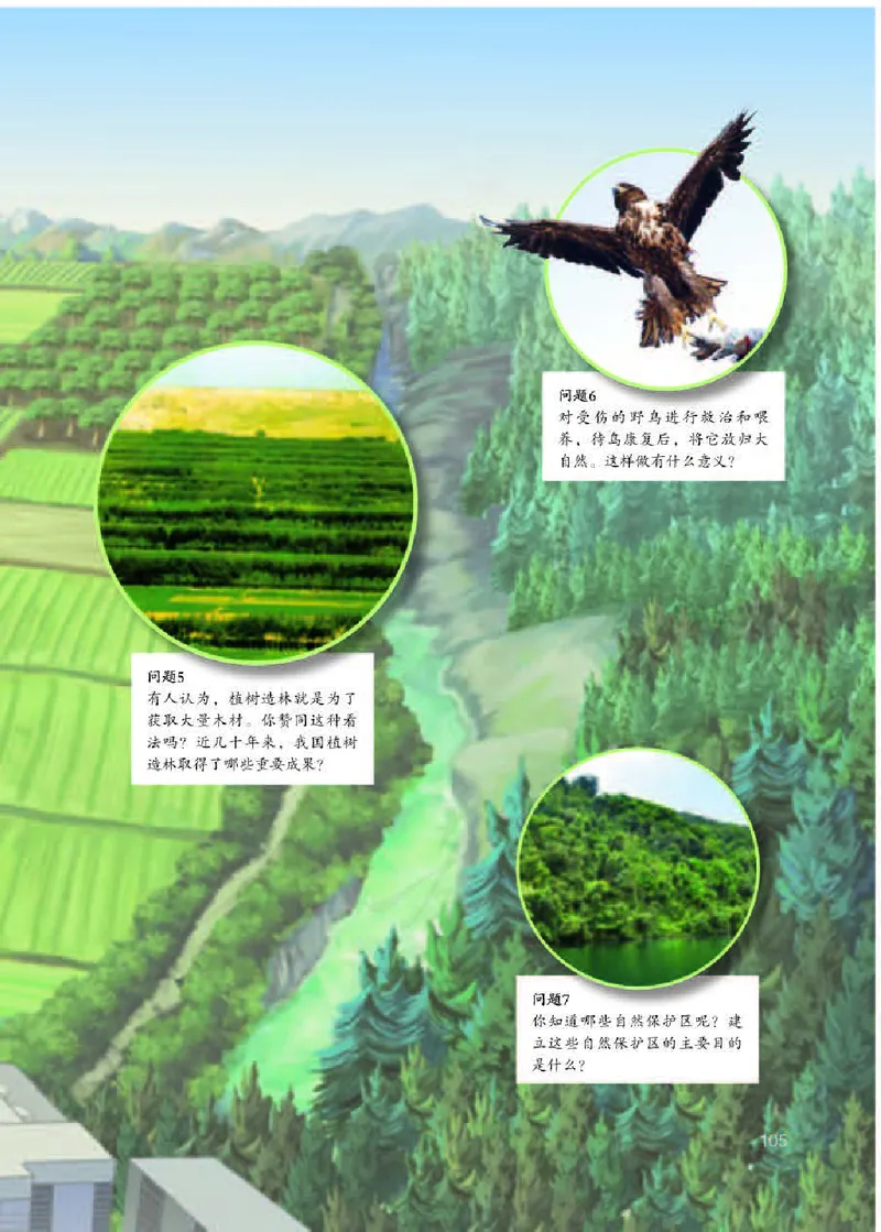 人教版7年级生物下册高清教材_4-教培资料-26年最新资料-同步更新_初中高中教资_03科三专项（进去保存报考的学科即可）_02科三专项（笔记真题思维导图教学设计版本二）