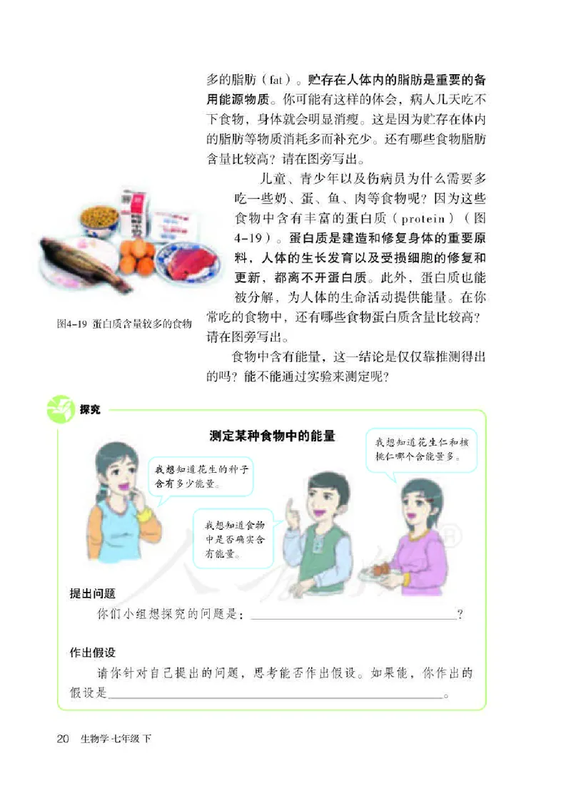 人教版7年级生物下册高清教材_4-教培资料-26年最新资料-同步更新_初中高中教资_03科三专项（进去保存报考的学科即可）_02科三专项（笔记真题思维导图教学设计版本二）