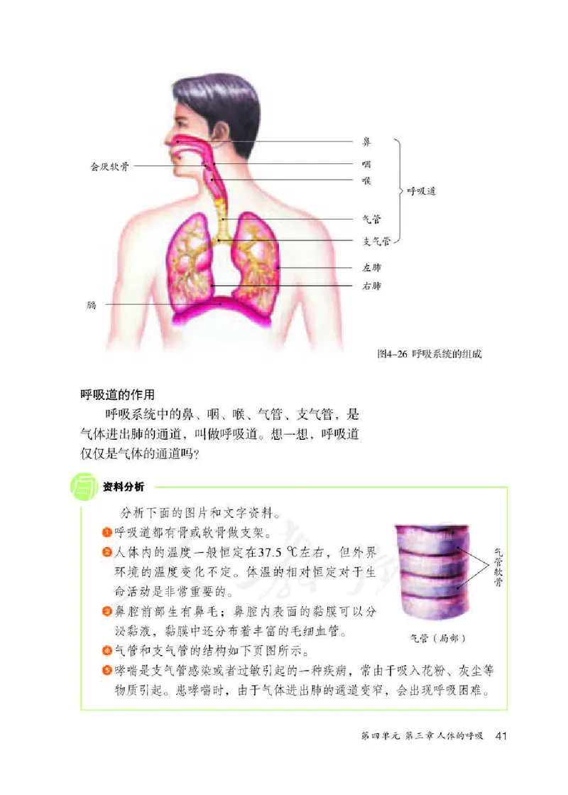 人教版7年级生物下册高清教材_4-教培资料-26年最新资料-同步更新_初中高中教资_03科三专项（进去保存报考的学科即可）_02科三专项（笔记真题思维导图教学设计版本二）