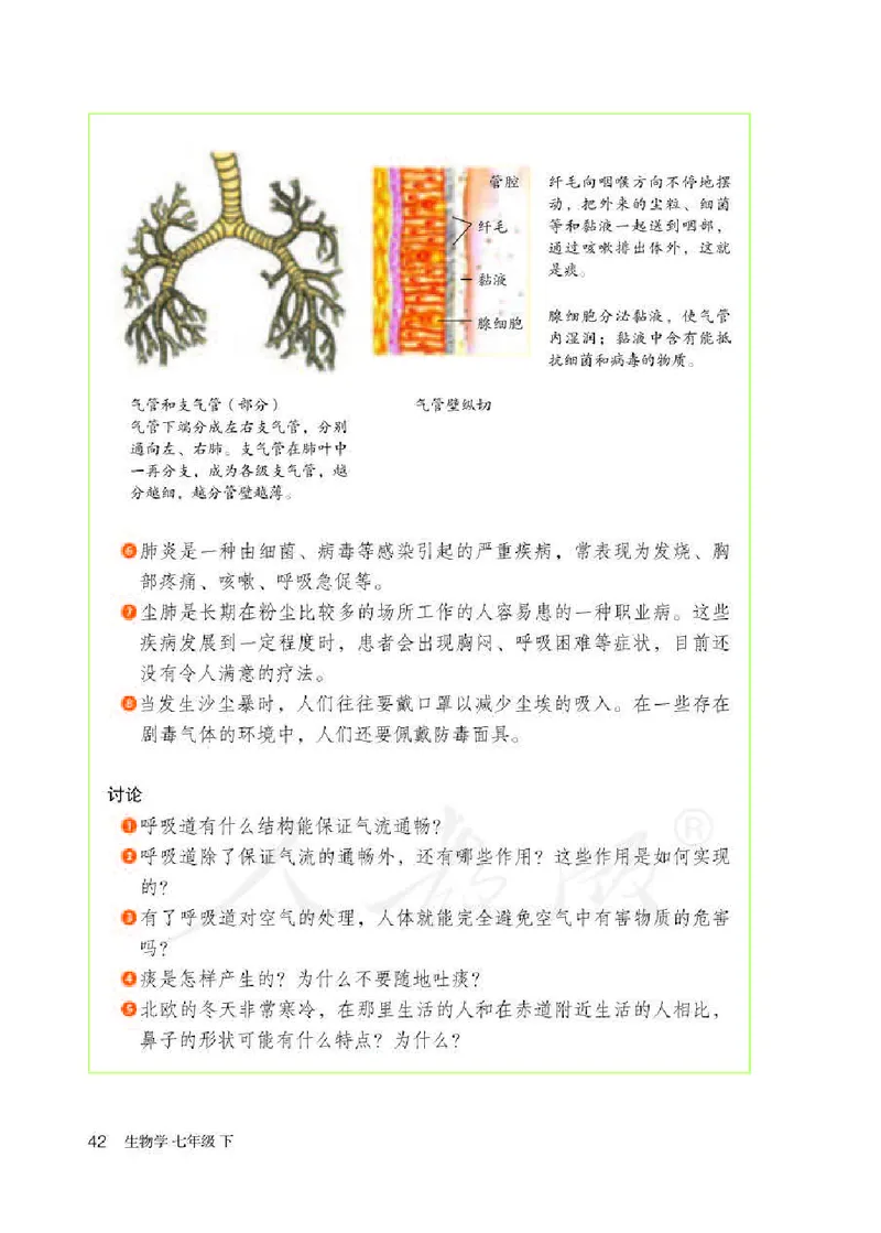 人教版7年级生物下册高清教材_4-教培资料-26年最新资料-同步更新_初中高中教资_03科三专项（进去保存报考的学科即可）_02科三专项（笔记真题思维导图教学设计版本二）