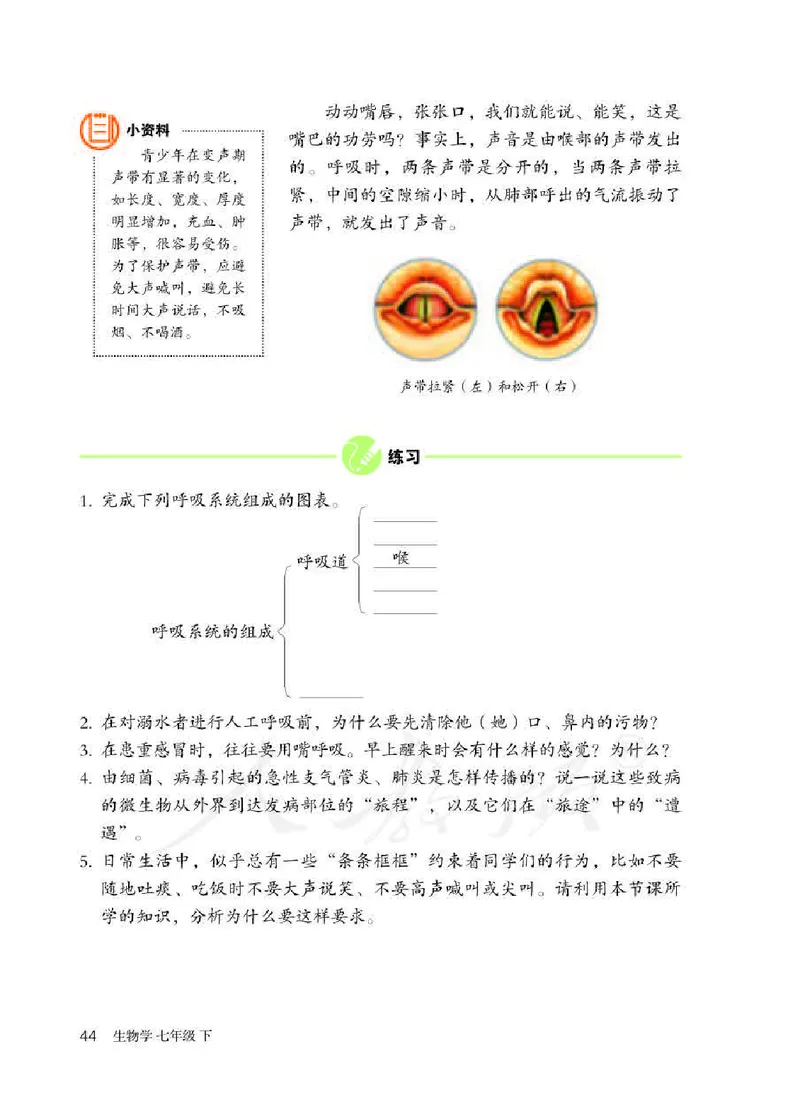 人教版7年级生物下册高清教材_4-教培资料-26年最新资料-同步更新_初中高中教资_03科三专项（进去保存报考的学科即可）_02科三专项（笔记真题思维导图教学设计版本二）
