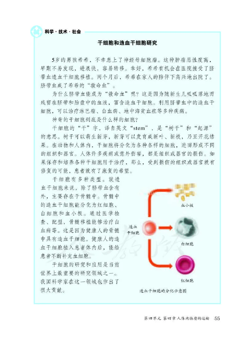 人教版7年级生物下册高清教材_4-教培资料-26年最新资料-同步更新_初中高中教资_03科三专项（进去保存报考的学科即可）_02科三专项（笔记真题思维导图教学设计版本二）