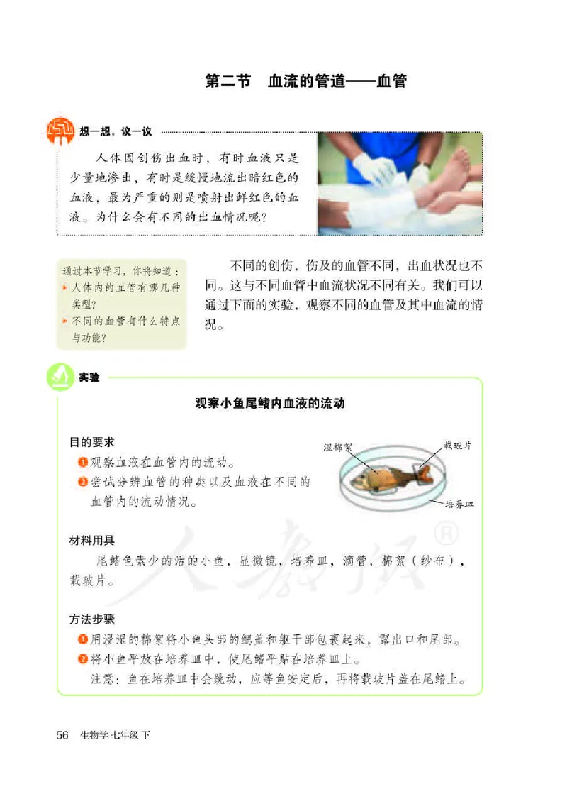 人教版7年级生物下册高清教材_4-教培资料-26年最新资料-同步更新_初中高中教资_03科三专项（进去保存报考的学科即可）_02科三专项（笔记真题思维导图教学设计版本二）