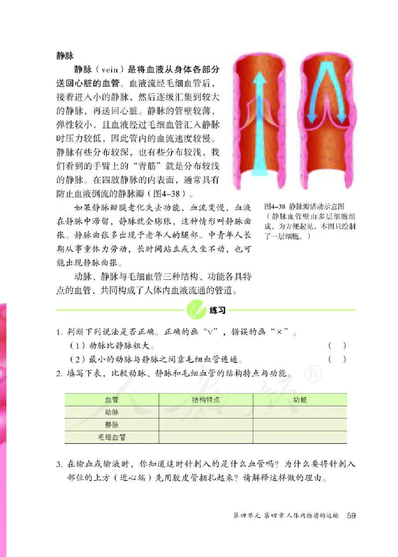 人教版7年级生物下册高清教材_4-教培资料-26年最新资料-同步更新_初中高中教资_03科三专项（进去保存报考的学科即可）_02科三专项（笔记真题思维导图教学设计版本二）