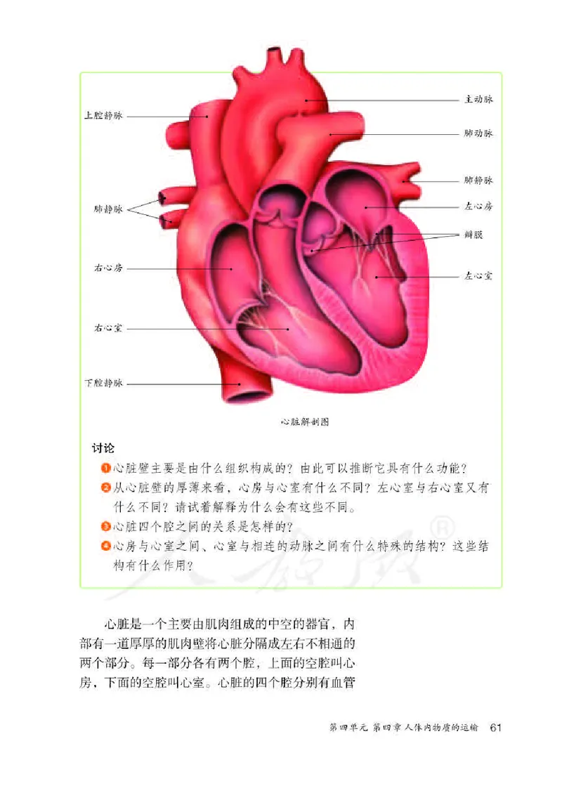 人教版7年级生物下册高清教材_4-教培资料-26年最新资料-同步更新_初中高中教资_03科三专项（进去保存报考的学科即可）_02科三专项（笔记真题思维导图教学设计版本二）
