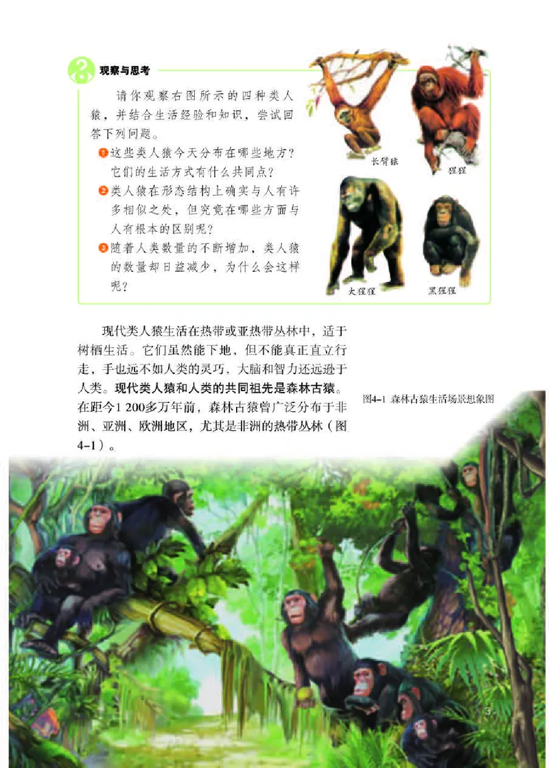 人教版7年级生物下册高清教材_4-教培资料-26年最新资料-同步更新_初中高中教资_03科三专项（进去保存报考的学科即可）_02科三专项（笔记真题思维导图教学设计版本二）