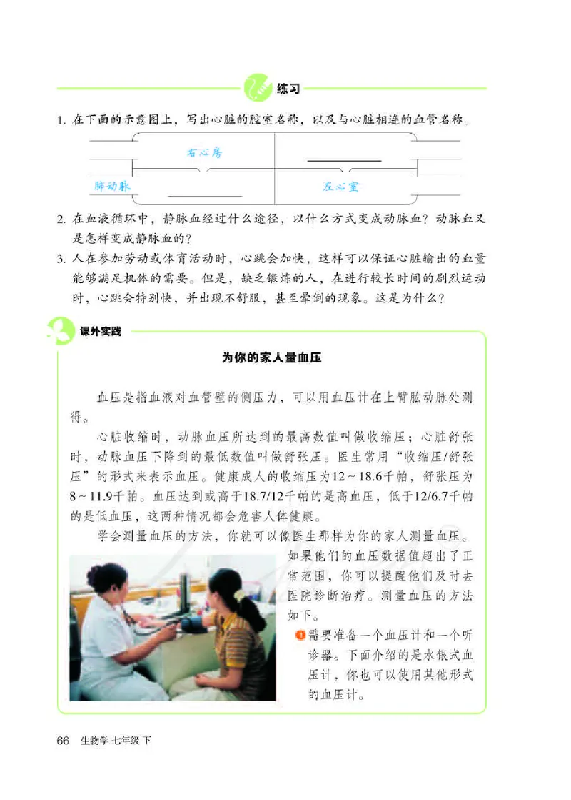 人教版7年级生物下册高清教材_4-教培资料-26年最新资料-同步更新_初中高中教资_03科三专项（进去保存报考的学科即可）_02科三专项（笔记真题思维导图教学设计版本二）