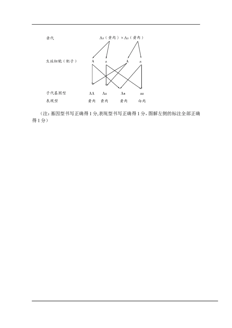 2013潍坊市中考生物试题带答案(word版)_中考真题_8.生物中考真题2015-2024年_地区卷_山东省_山东潍坊中考生物08-21