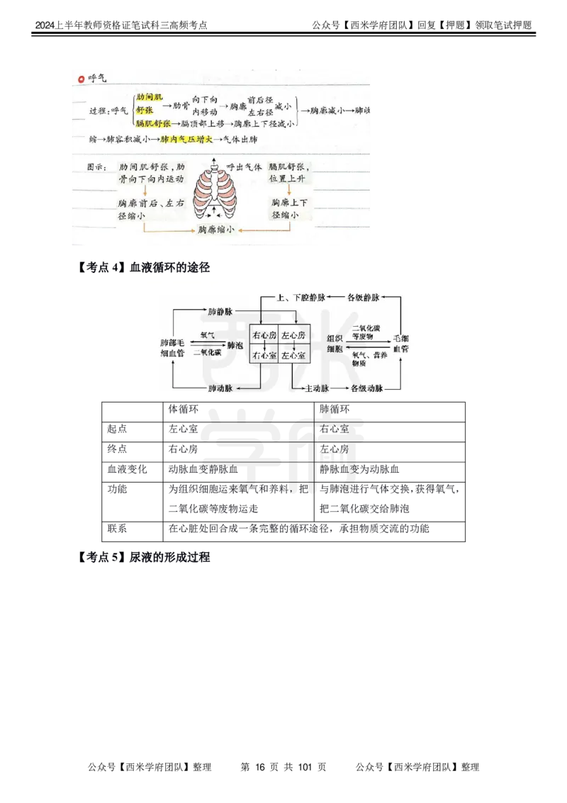 中学生物-高频考点_4-教培资料-26年最新资料-同步更新_初中高中教资_03科三专项（进去保存报考的学科即可）_01科目三FB网课、三色速记手册、知识点导图等推荐_初中